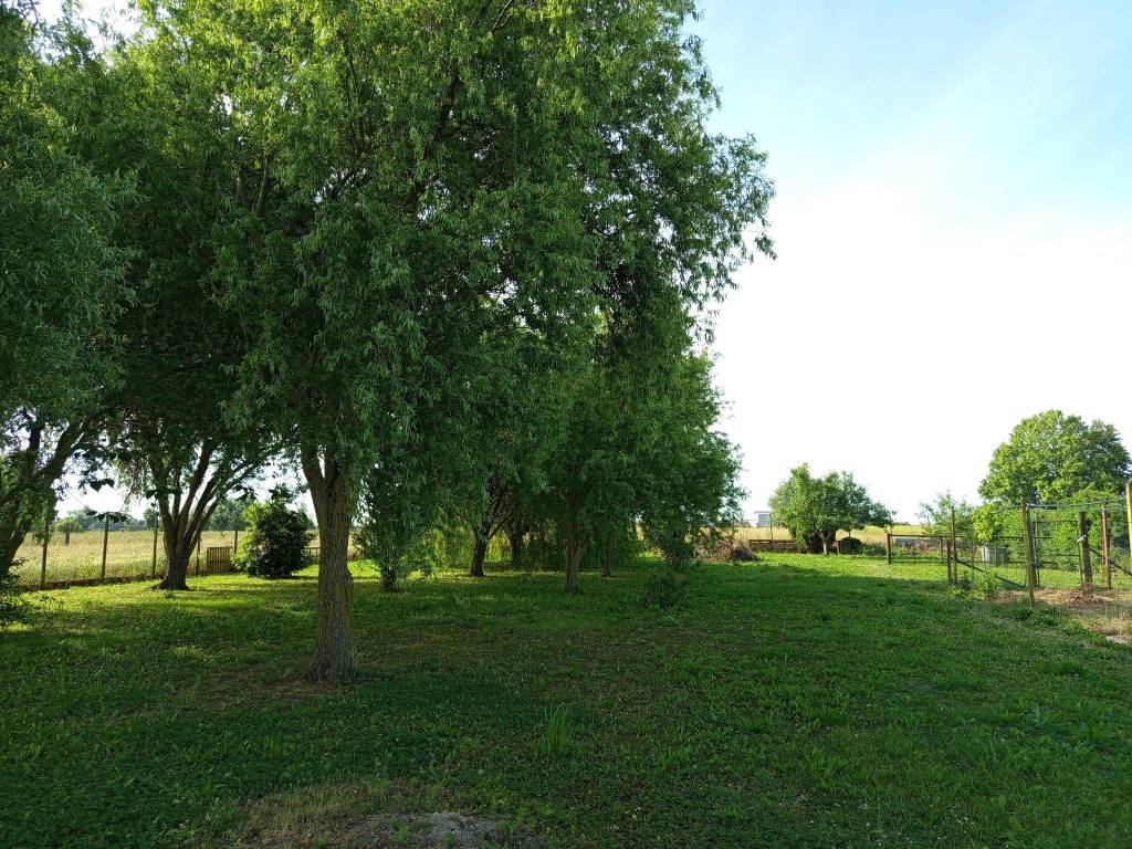 Terreno a Palazzolo dello stella in Via dell'Isola - Foto 4