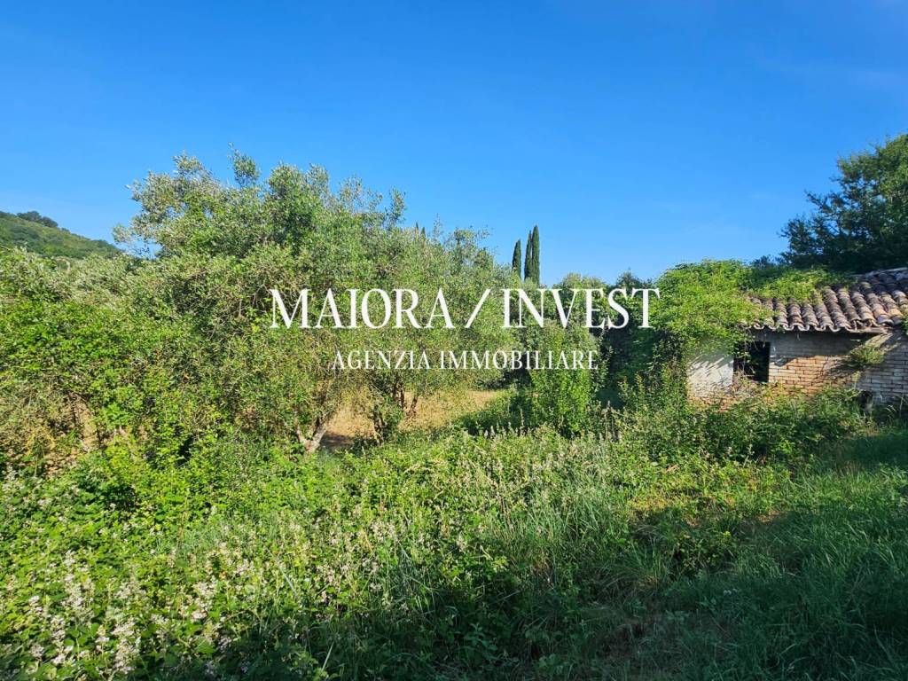 Terreno a Monsampolo del tronto in Contrada Pianelle - Foto 3