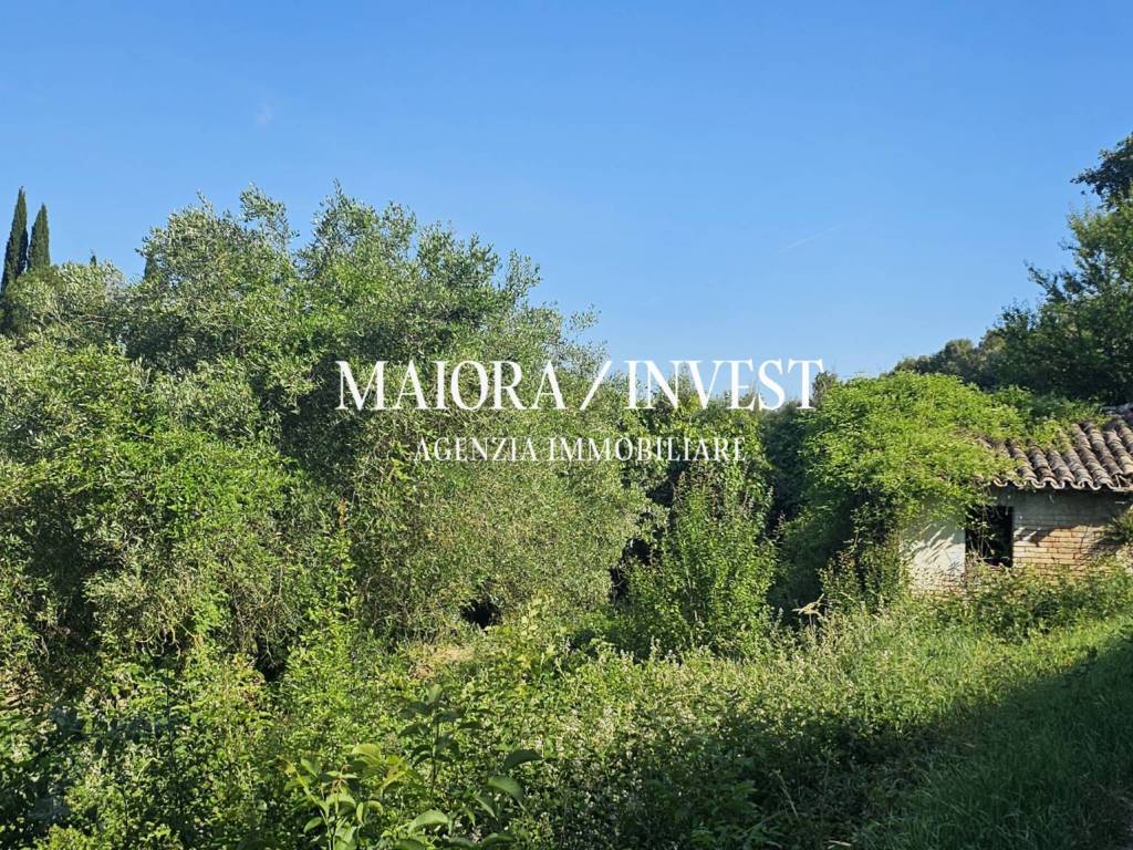 Rustico / casale a Monsampolo del tronto in Contrada Pianelle - Foto 2