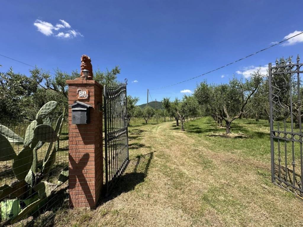 Villa a Castiglione della pescaia in Strada Vicinale di Val di Campo - Foto 4