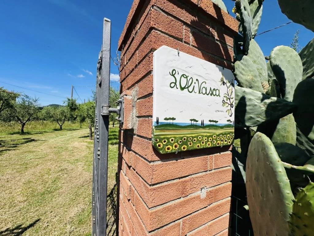 Villa a Castiglione della pescaia in Strada Vicinale di Val di Campo - Foto 5
