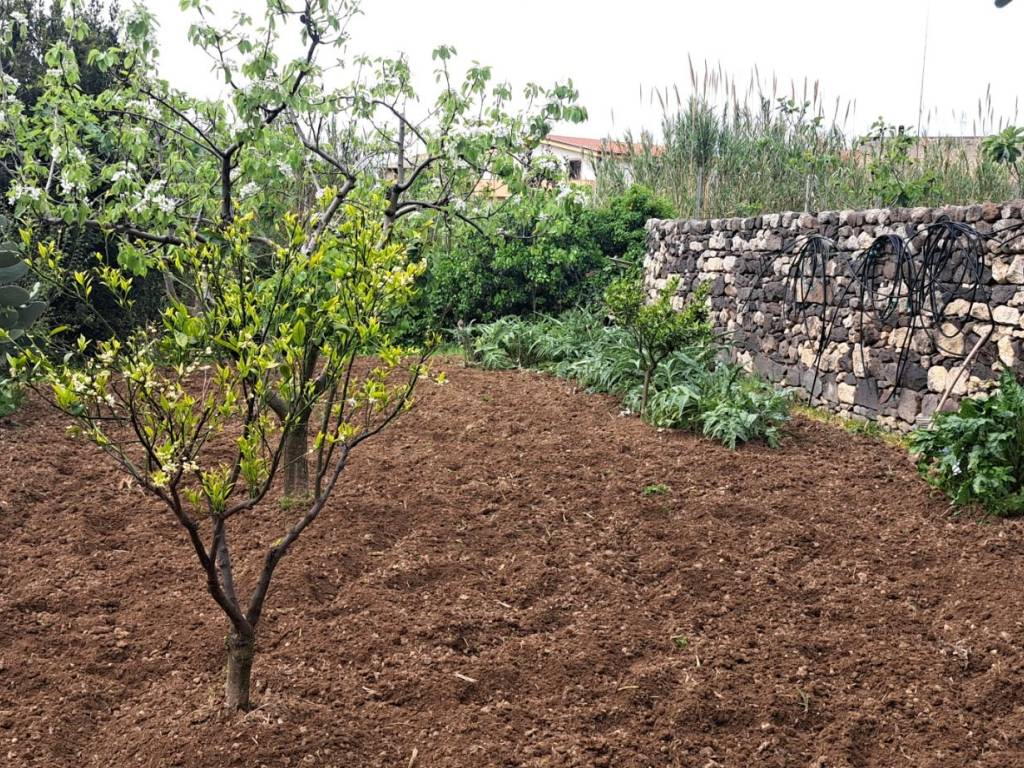 Villetta a schiera a Magomadas in Via Vittorio Emanuele III - Foto 5