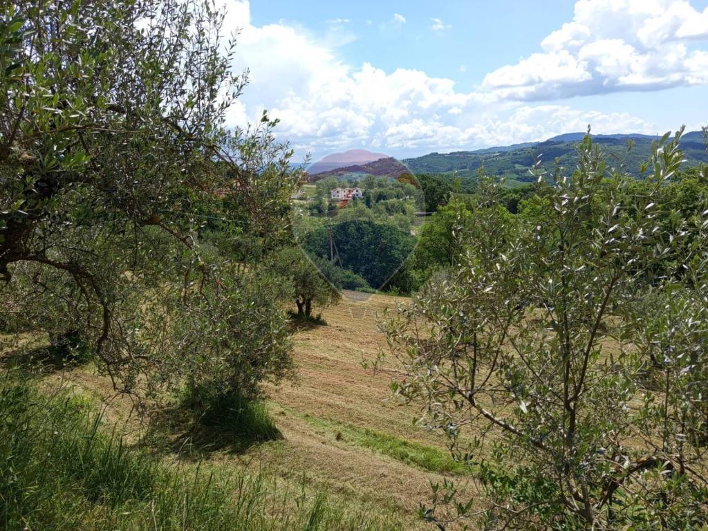 Terreno a Citerna in via Camillo Benso Conte di Cavour - Foto 3