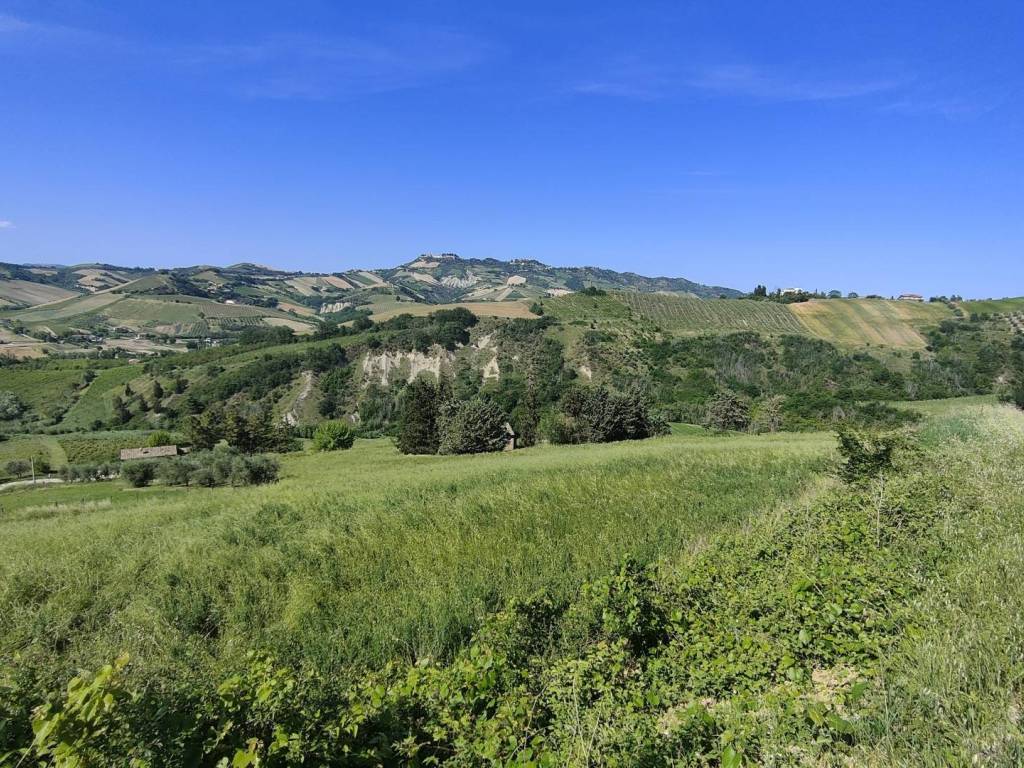 Rustico / casale a Offida in Strada Provinciale Rosso Piceno Superiore - Foto 2