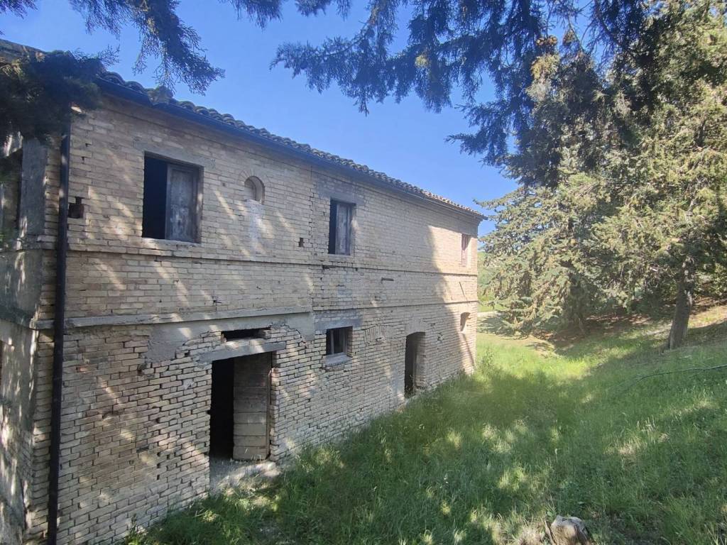 Rustico / casale a Offida in Strada Provinciale Rosso Piceno Superiore - Foto 4