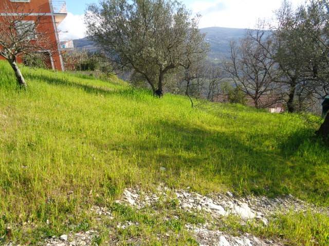 Terreno a Torchiara in torchiara - Foto 2