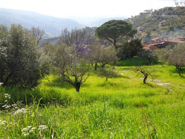 Terreno a Torchiara in torchiara - Foto 3