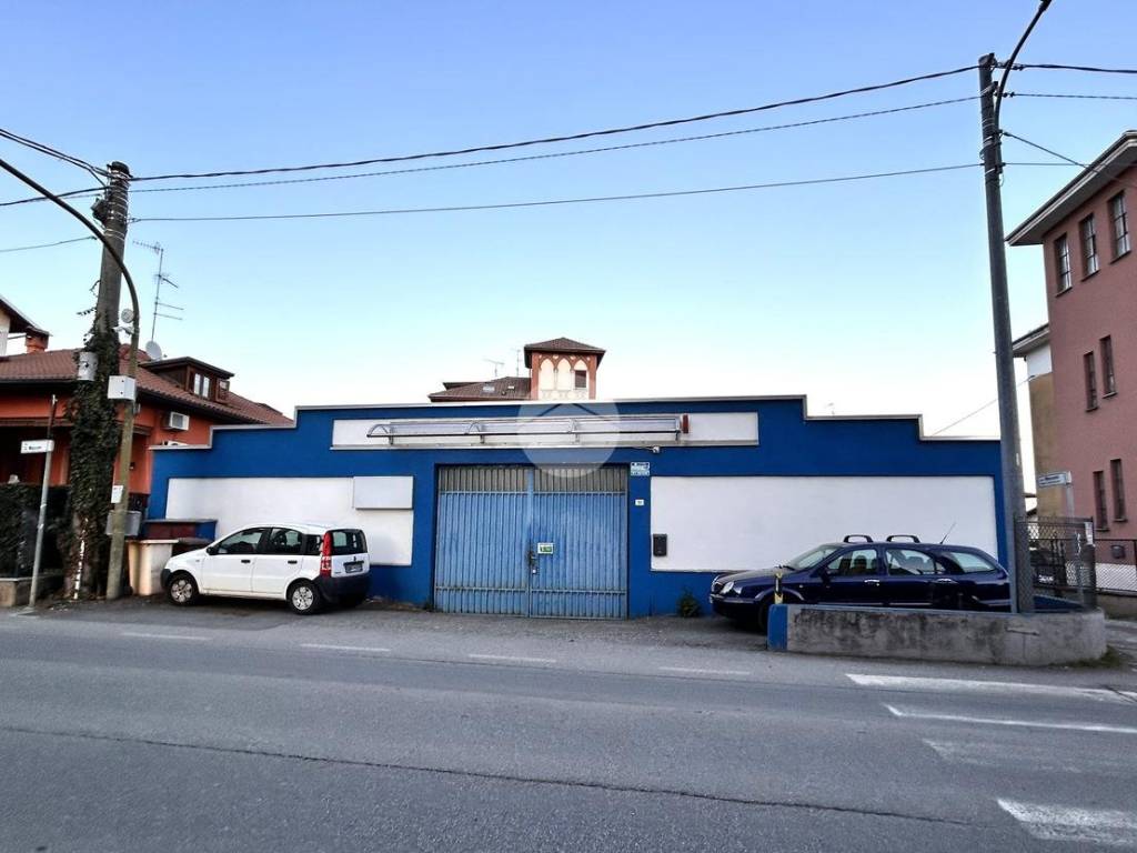 immagine di copertina