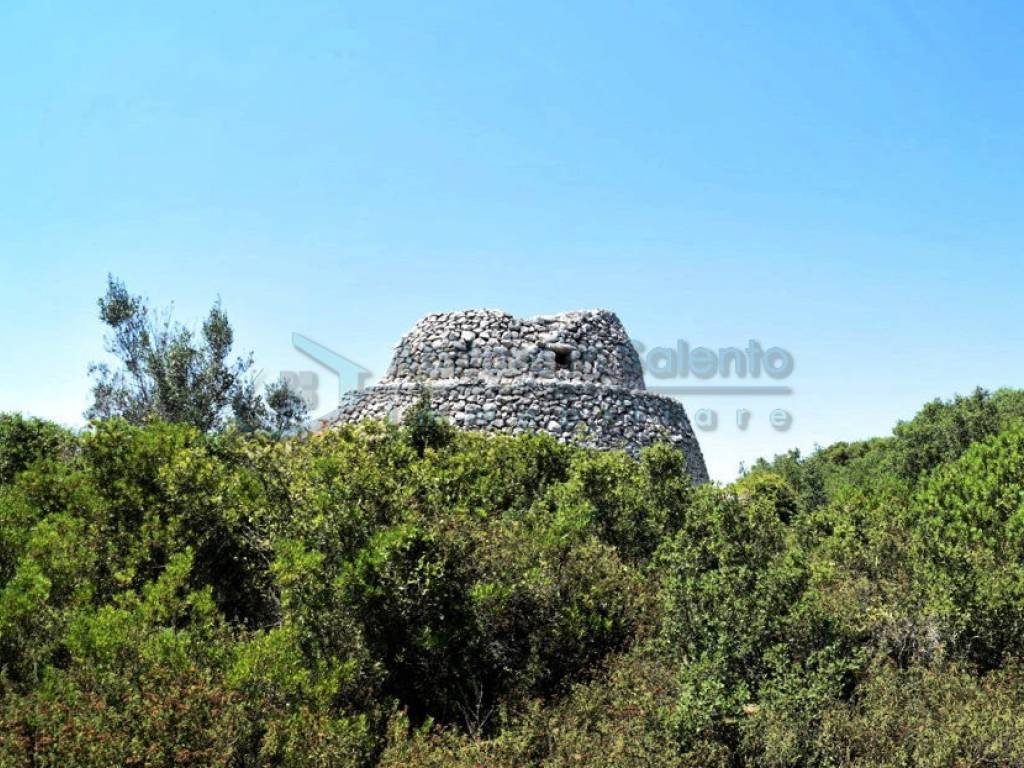 Terreno a Morciano di leuca - Foto 5