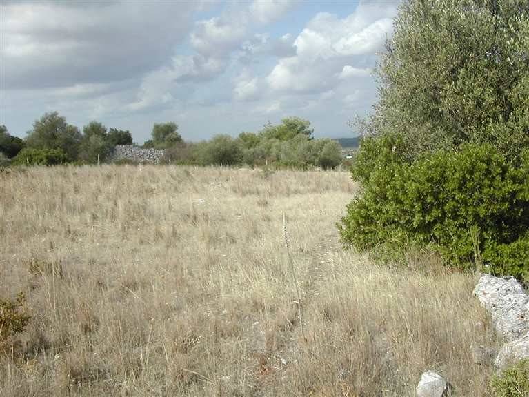 Terreno a Crispiano - Foto 3