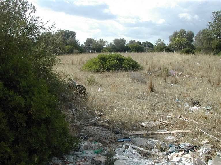 Terreno a Crispiano - Foto 4