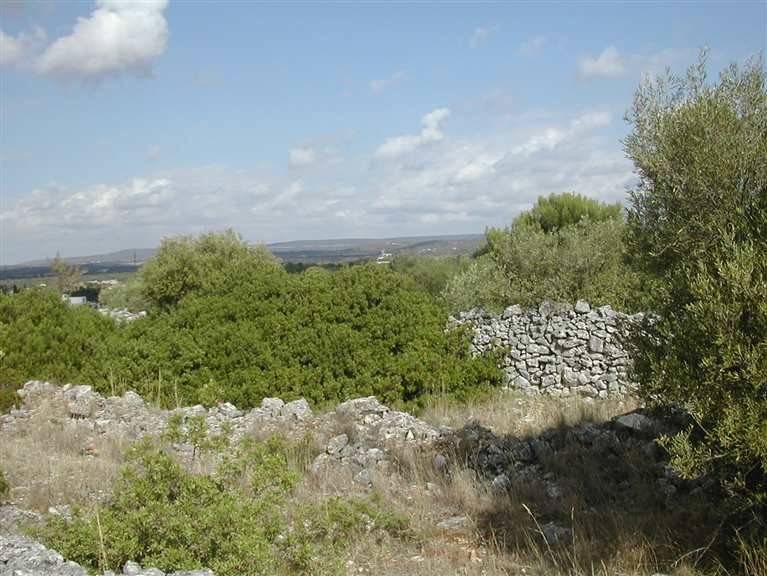 Terreno a Crispiano - Foto 5