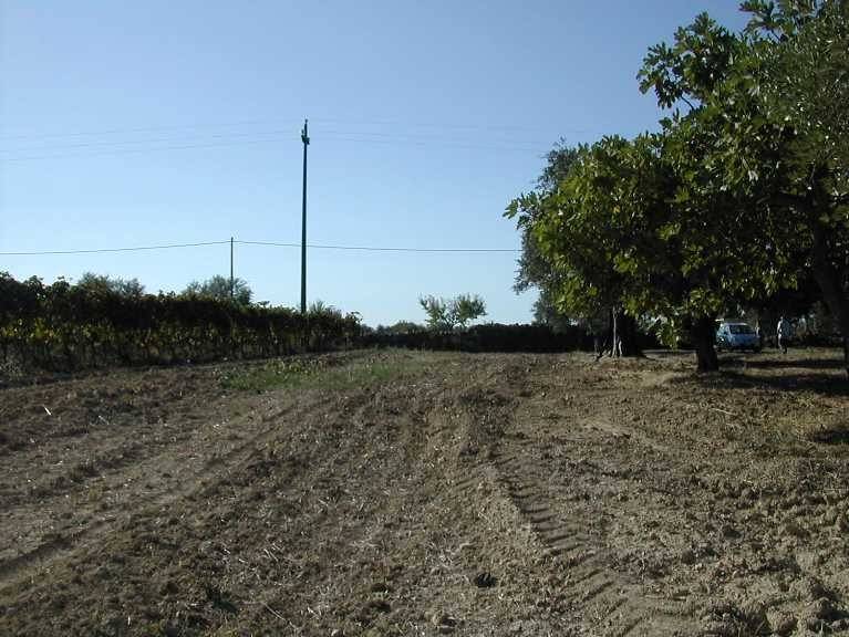 Terreno a Crispiano - Foto 5