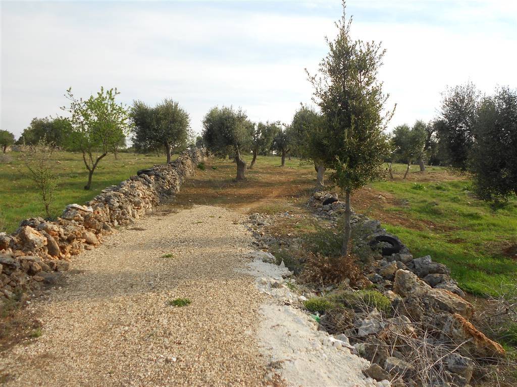 Terreno a Crispiano - Foto 2