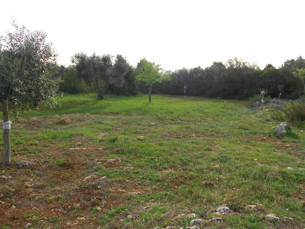 Terreno a Crispiano - Foto 3