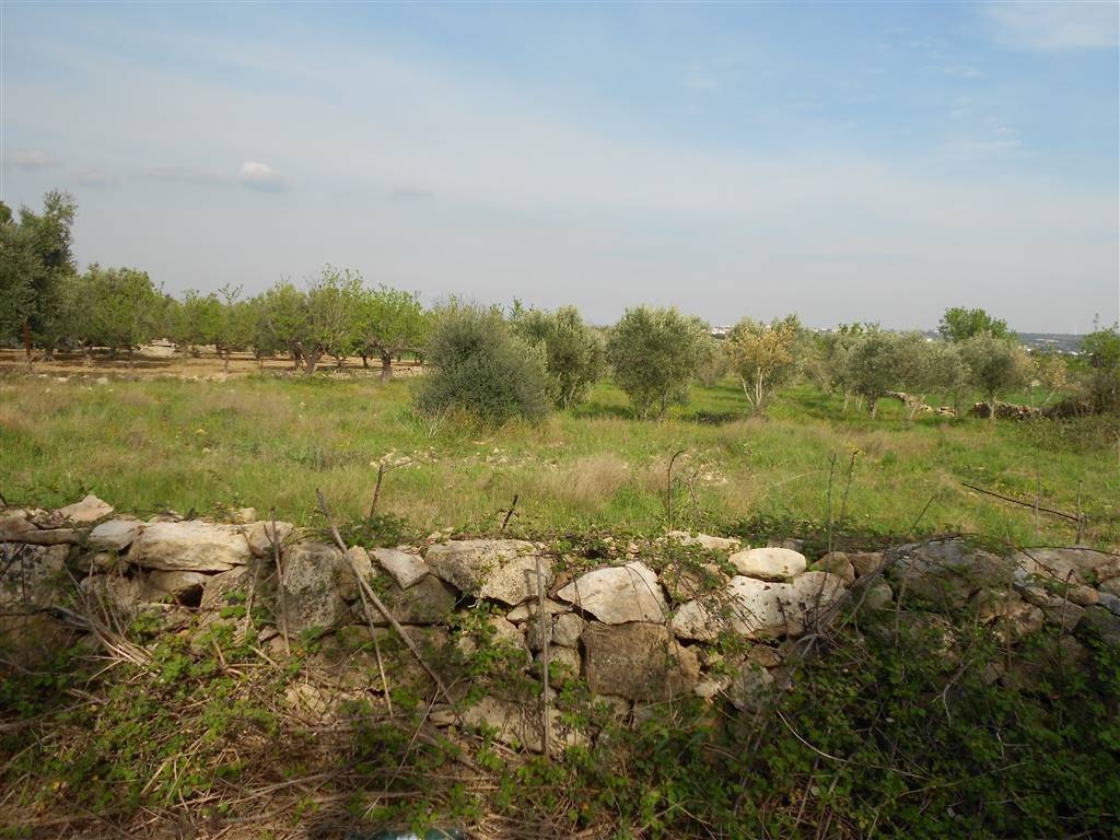 Terreno a Crispiano - Foto 2