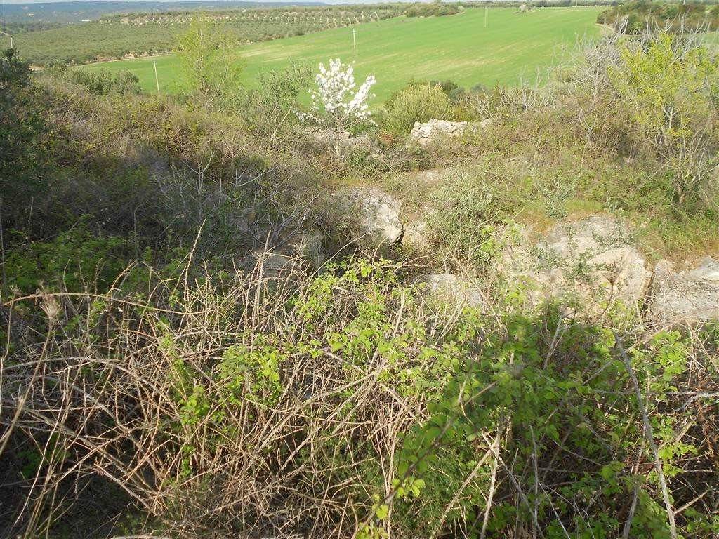 Terreno a Crispiano - Foto 4
