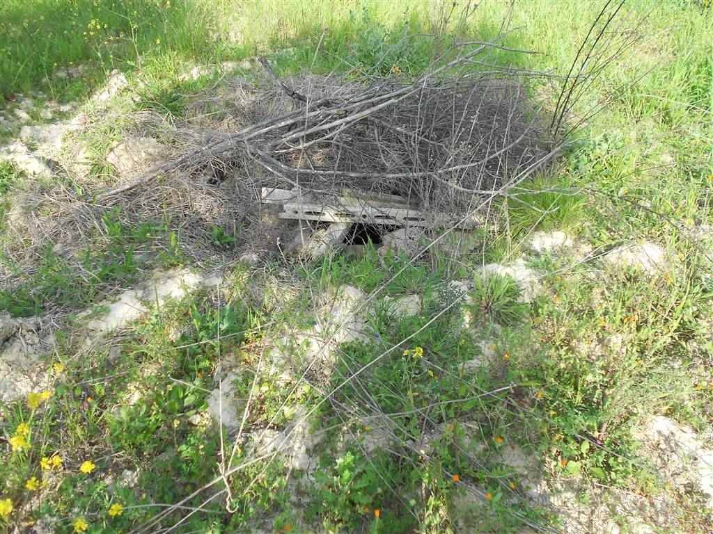 Terreno a Crispiano - Foto 5