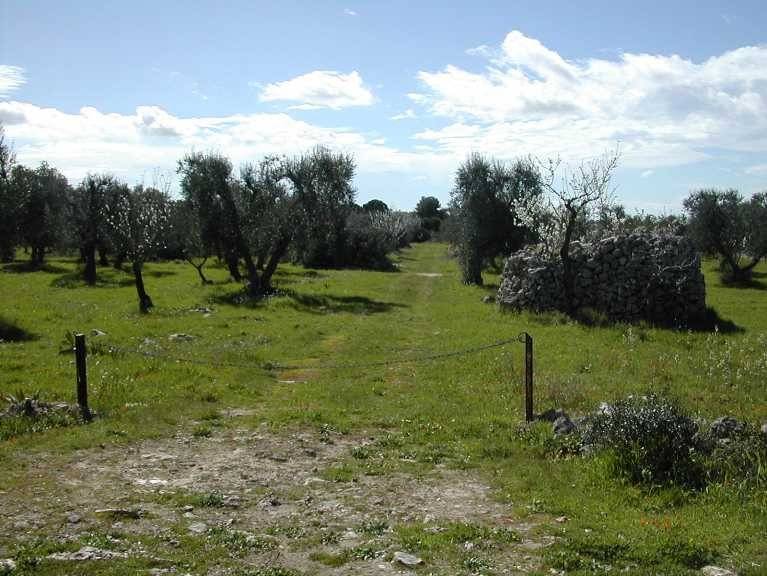 Terreno a Crispiano - Foto 3