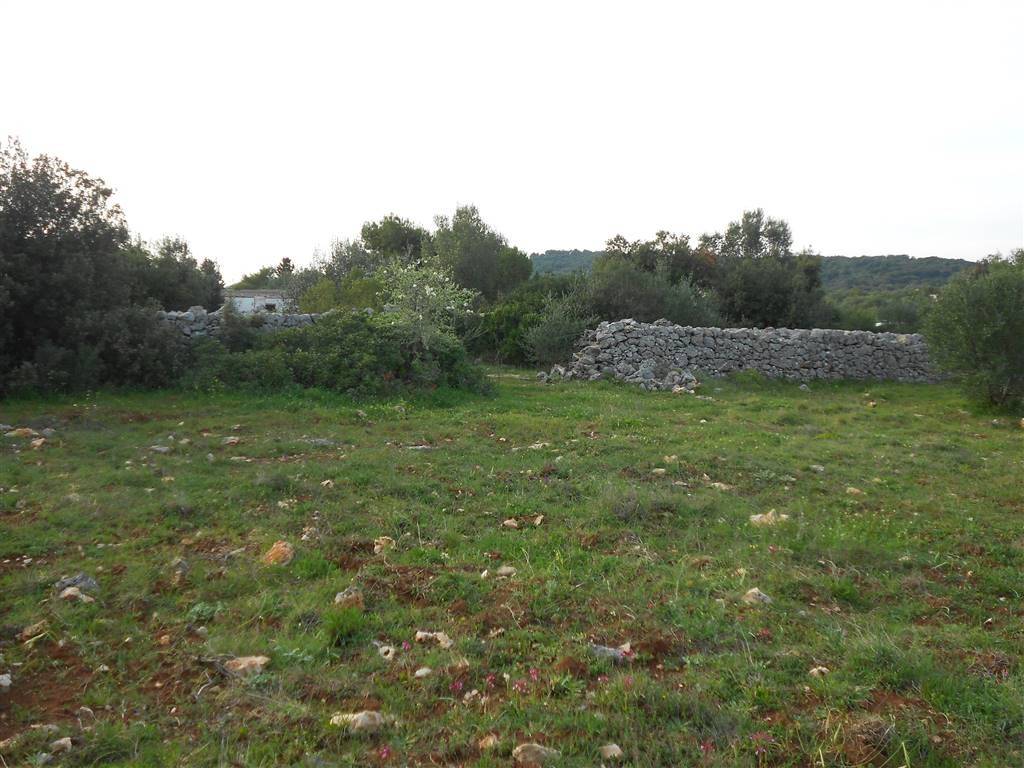 Terreno a Crispiano - Foto 3