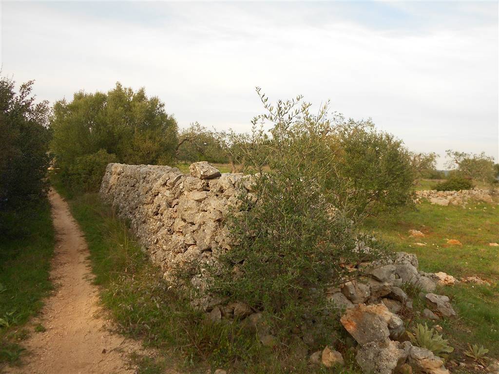 Terreno a Crispiano - Foto 4