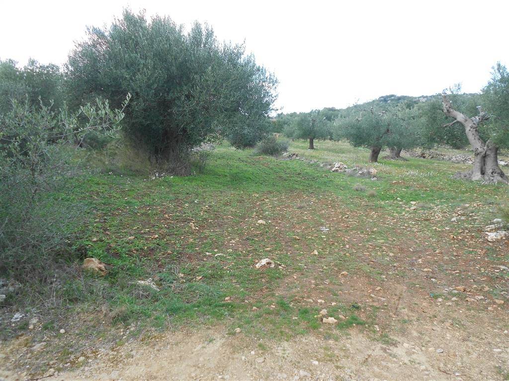 Terreno a Crispiano - Foto 2