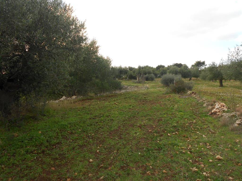 Terreno a Crispiano - Foto 3