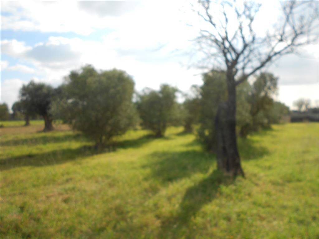 Terreno a Crispiano - Foto 2