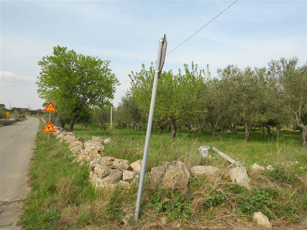 Terreno a Crispiano - Foto 2