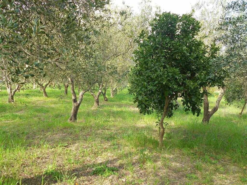 Terreno a Crispiano - Foto 4