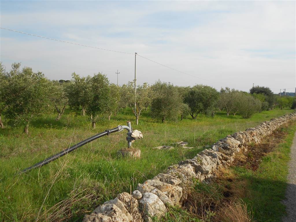 Terreno a Crispiano - Foto 5