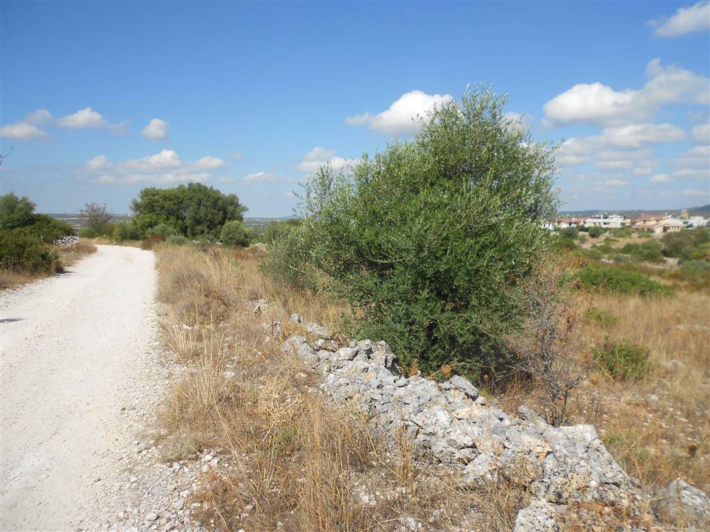 Terreno a Crispiano - Foto 2