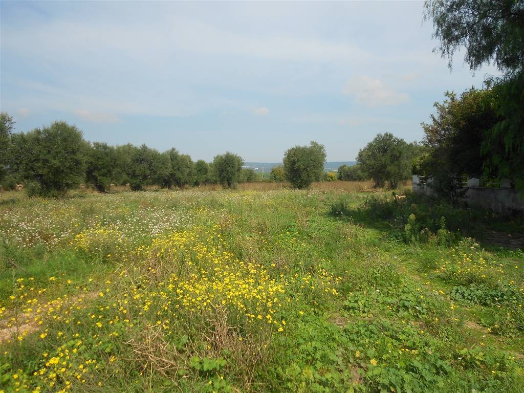 Terreno a Crispiano - Foto 3