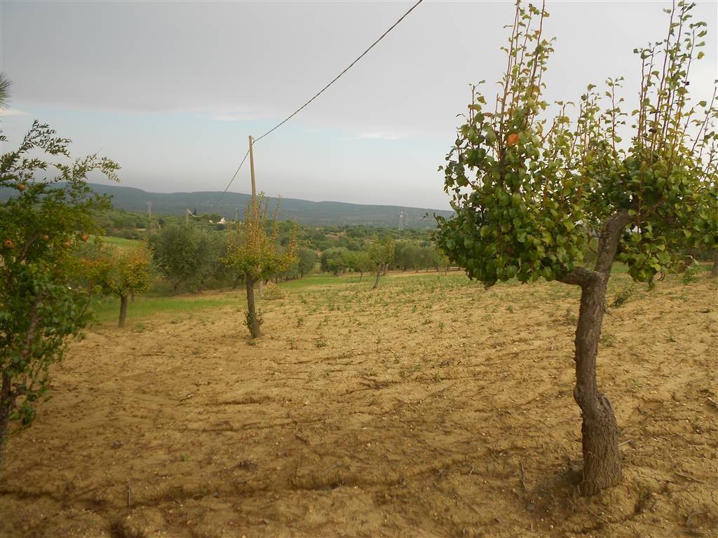 Terreno a Crispiano - Foto 2