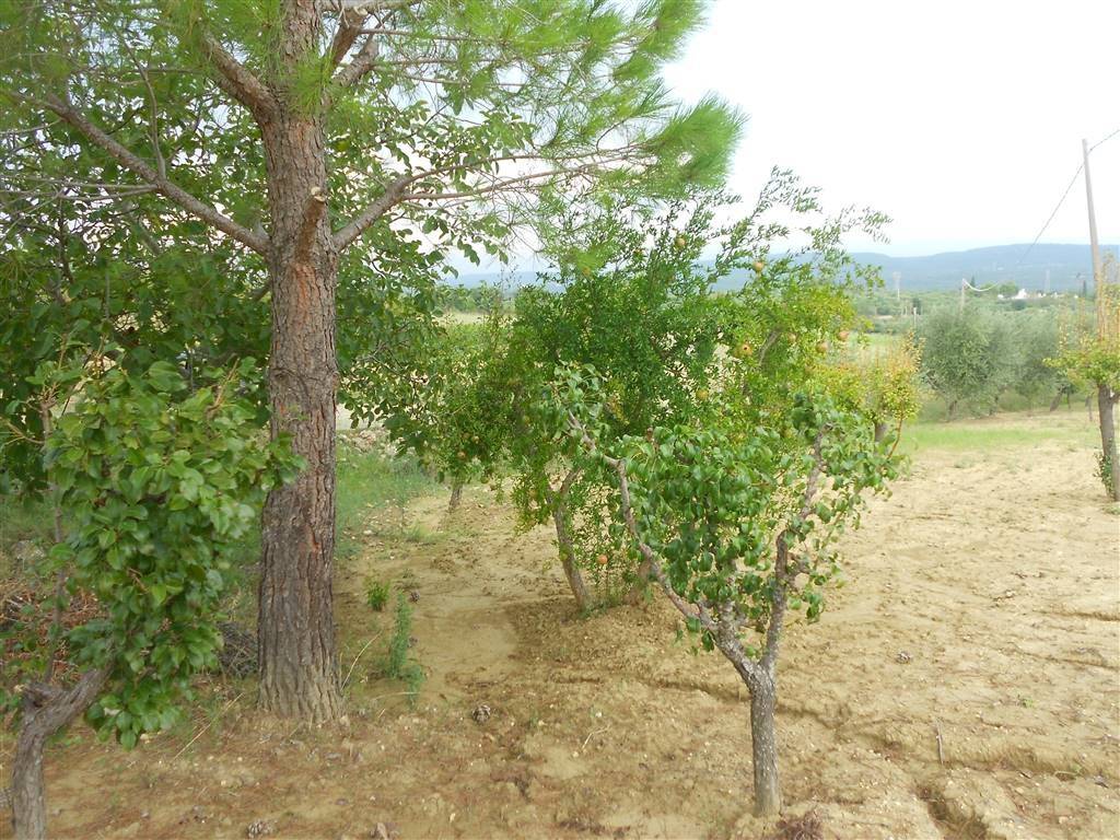 Terreno a Crispiano - Foto 3