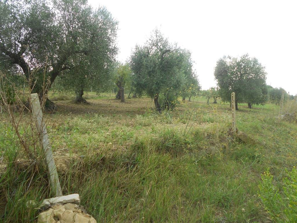 Terreno a Crispiano - Foto 4