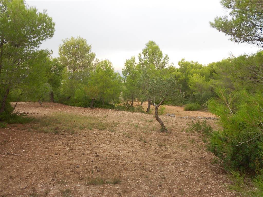 Terreno a Crispiano - Foto 5