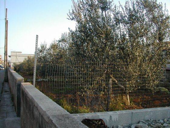 Terreno a Statte - Foto 2