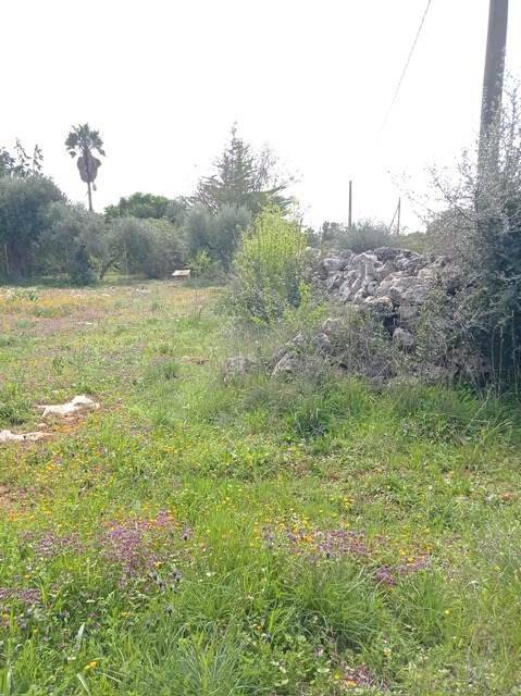 Terreno a Crispiano - Foto 4