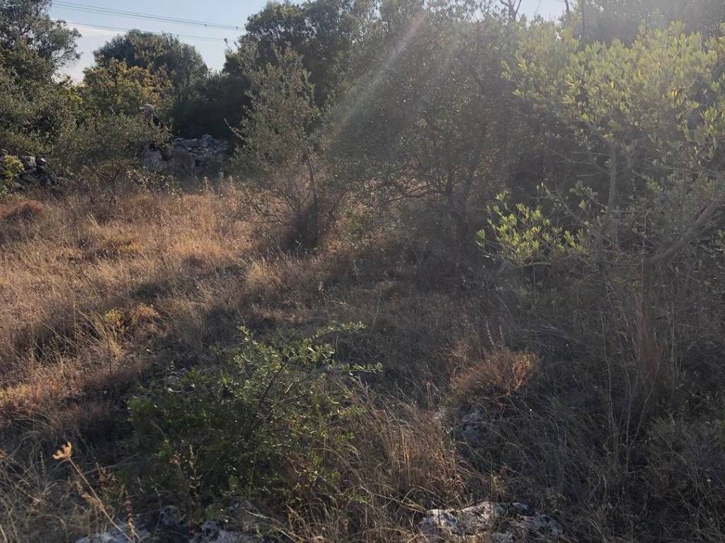 Terreno a Crispiano - Foto 2