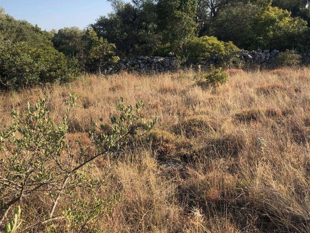 Terreno a Crispiano - Foto 3