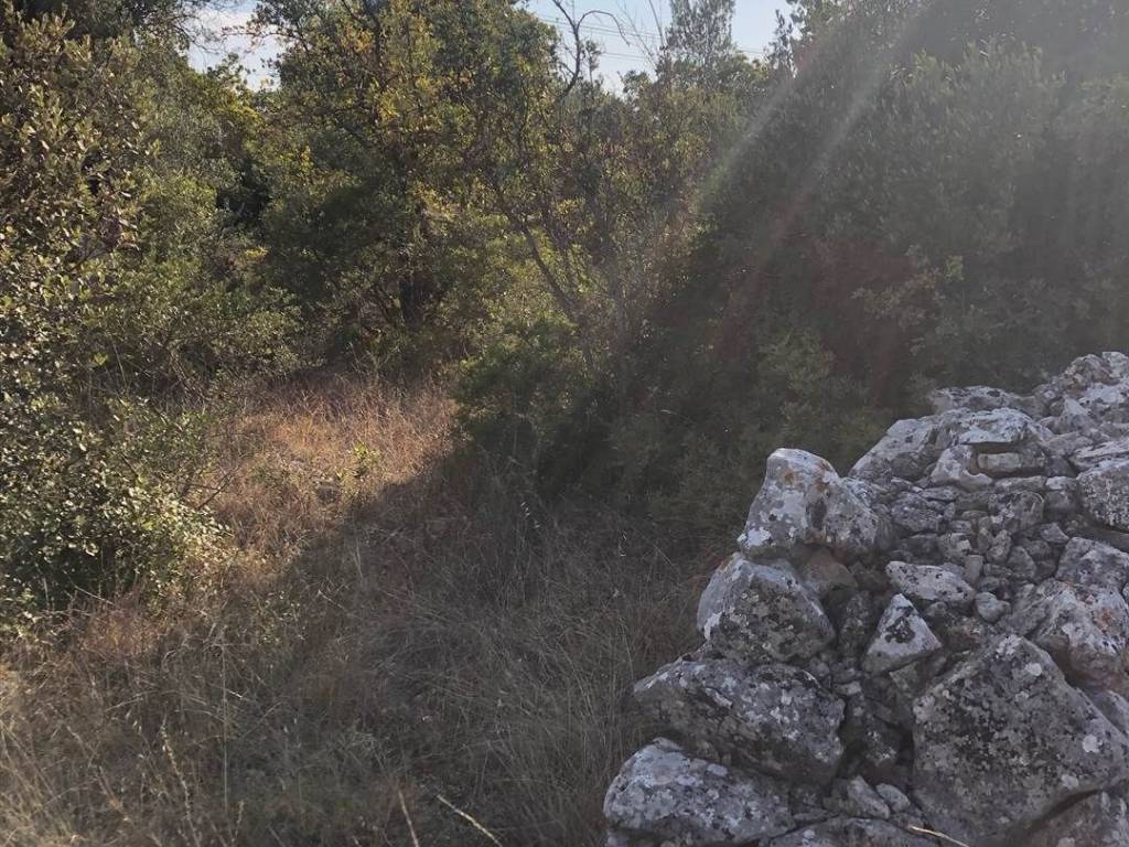 Terreno a Crispiano - Foto 4