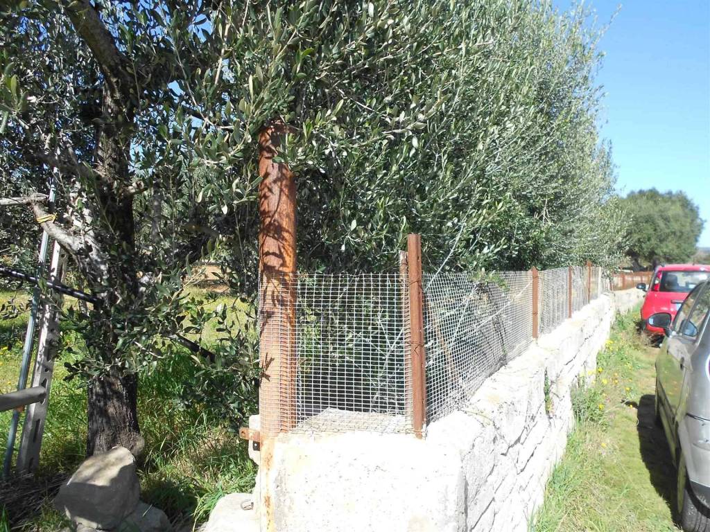 Terreno a Crispiano - Foto 2