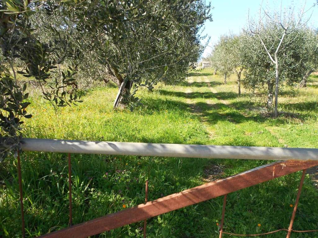 Terreno a Crispiano - Foto 3