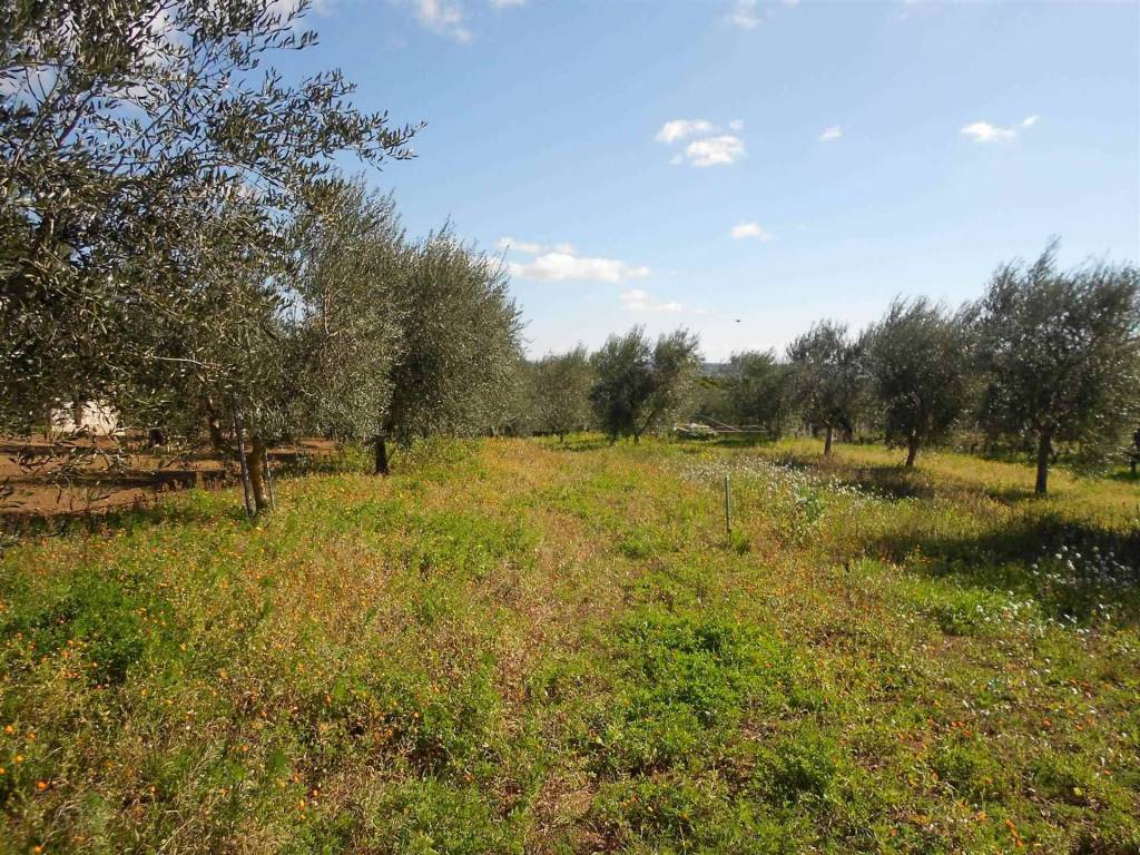 Terreno a Crispiano - Foto 4