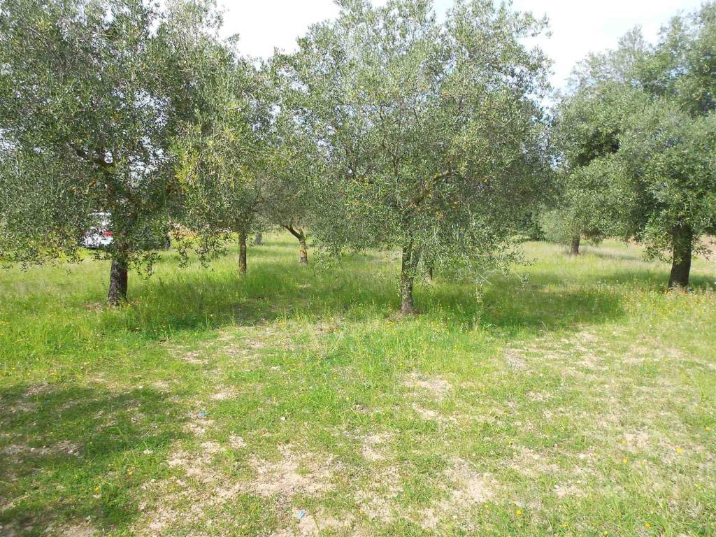 Terreno a Crispiano - Foto 2