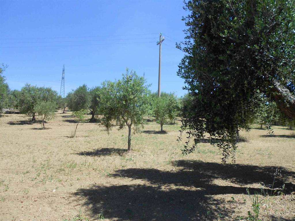 Terreno a Crispiano - Foto 2