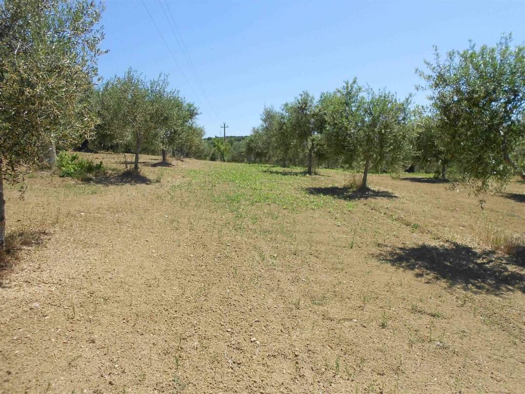 Terreno a Crispiano - Foto 3