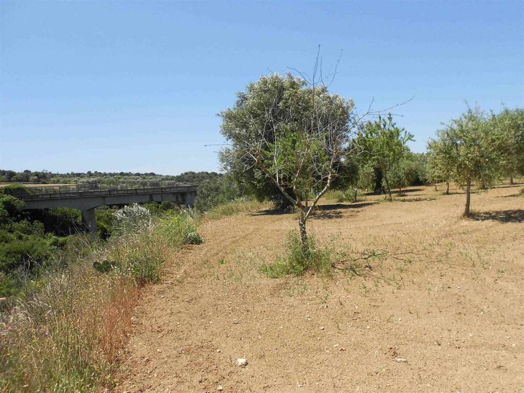 Terreno a Crispiano - Foto 5