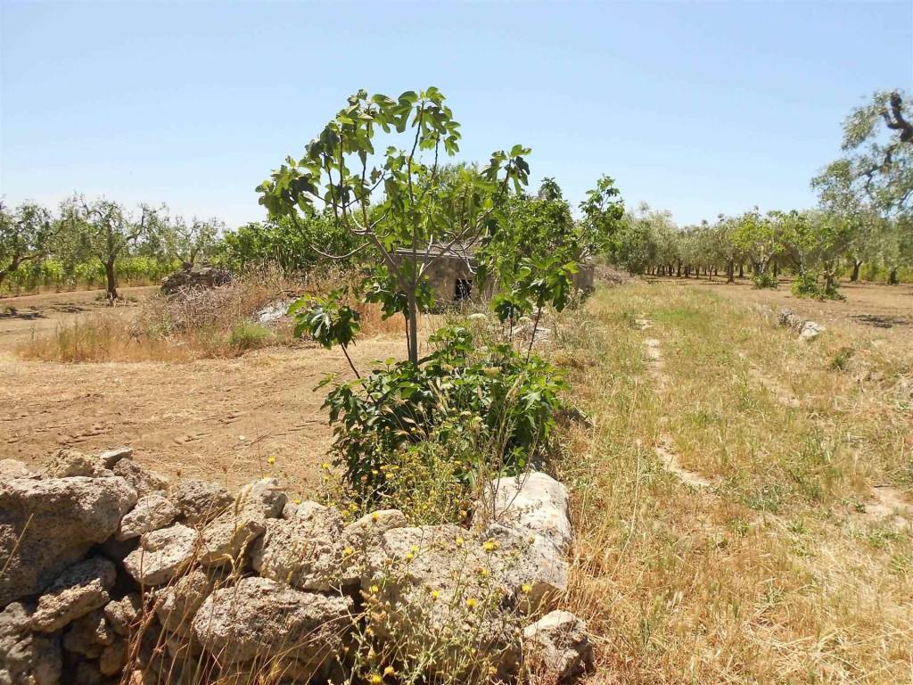 Terreno a Crispiano - Foto 2